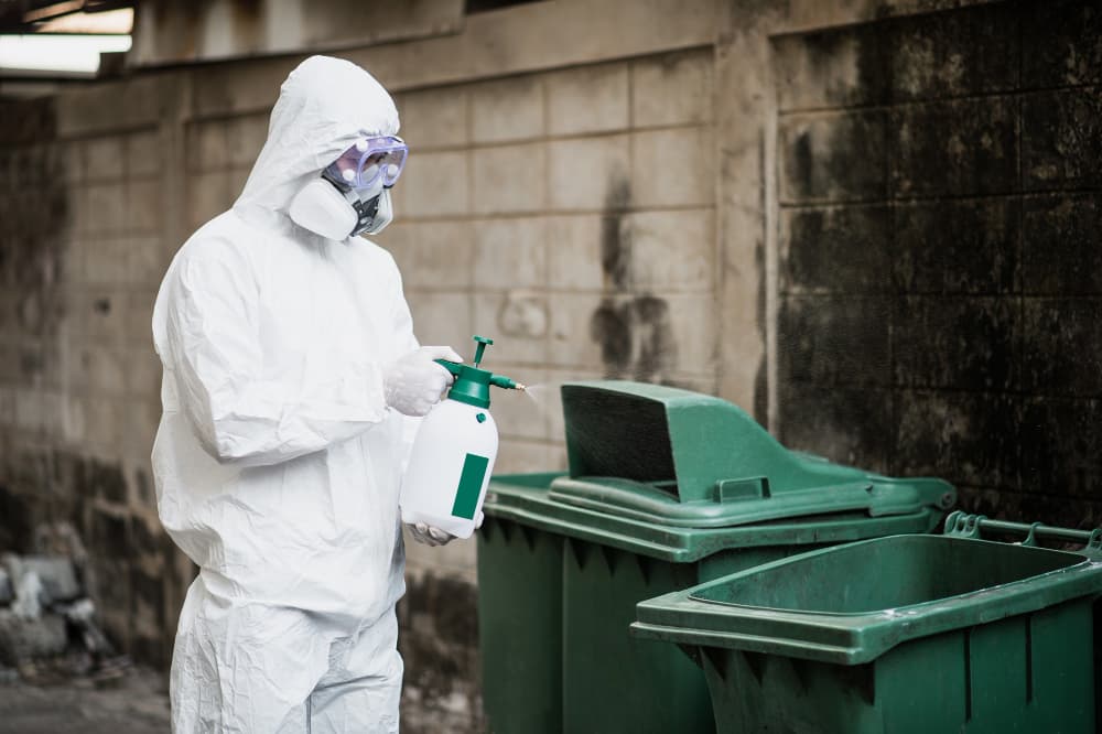 Rodent Control image 2
